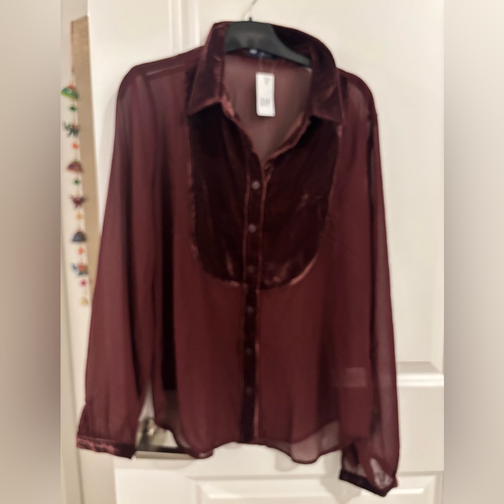 Sheer and Velvet Burgundy Button-Up Blouse